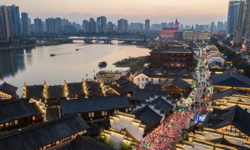 电线为什么是两根-中药花类品种有哪些图片网-分享中药花类品种有哪些图片大全，中药花类型大全知识库