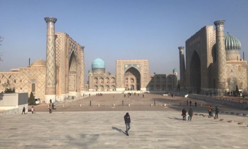 中药花类品种有哪些图片及名称-中药花类品种有哪些图片网-分享中药花类品种有哪些图片大全，中药花类型大全知识库