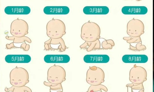 天津格林国际幼儿园学费-中药花类品种有哪些图片网-分享中药花类品种有哪些图片大全，中药花类型大全知识库