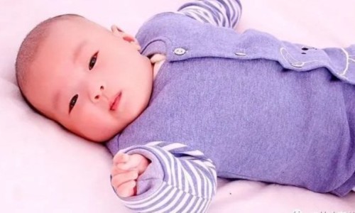 天津格林国际幼儿园学费-中药花类品种有哪些图片网-分享中药花类品种有哪些图片大全，中药花类型大全知识库