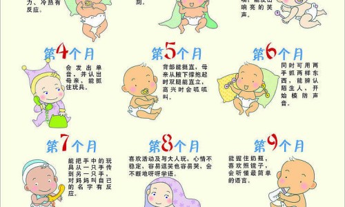 天津格林国际幼儿园学费-中药花类品种有哪些图片网-分享中药花类品种有哪些图片大全，中药花类型大全知识库